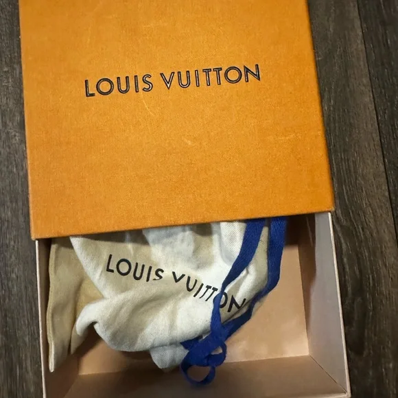 Louis Vuitton Brown Belt ( Women ) Bags
